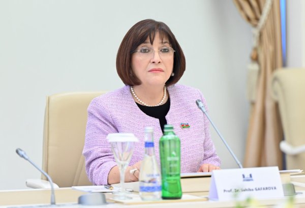 Speaker highlights growing Azerbaijan-Serbia ties within global organizations