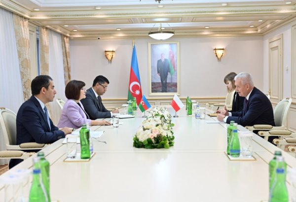 Azerbaijan, Poland review growth in political and economic collaboration (PHOTO)
