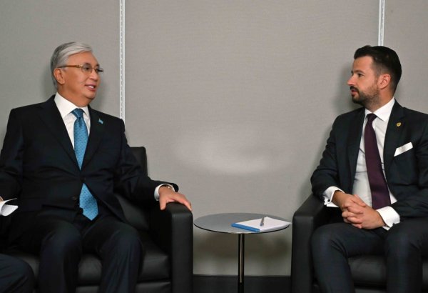 Kazakhstan, Montenegro discuss expanding bilateral cooperation