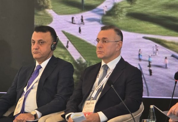 Azerbaijan shares idea of ​​coining medical and health tourism hub