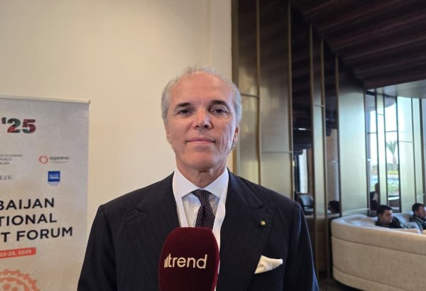 Italiana Petroli chairman spells out partnership with SOCAR promising