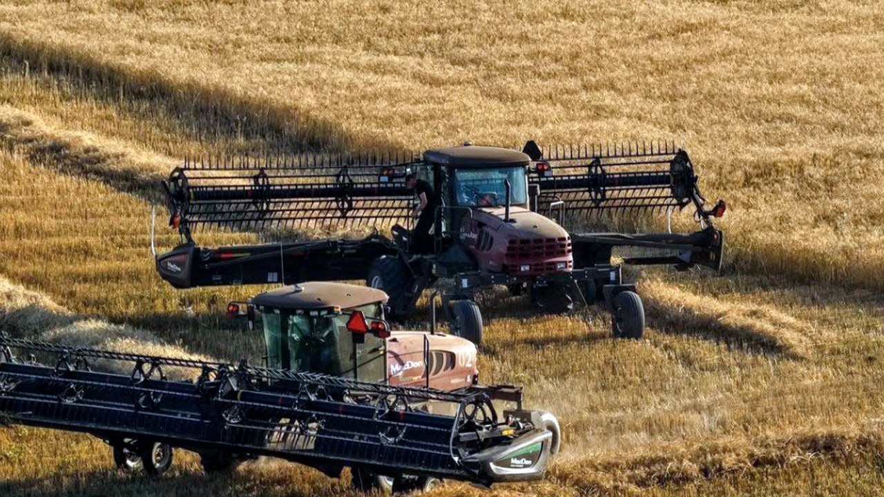 Kazakhstan achieves full self-sufficiency in basic food products