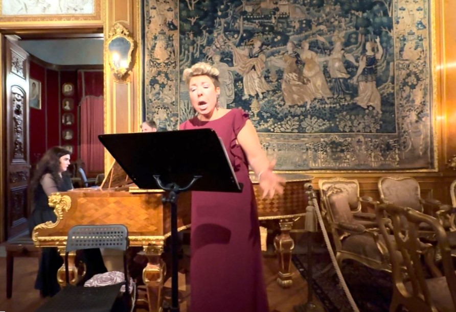 Azerbaijani music carries through Sweden's Stockholm (PHOTO)