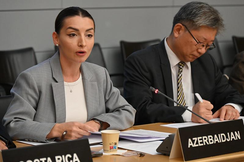 Azerbaijani official urges full throttle effort to harness Middle Corridor’s trade strength (PHOTO)