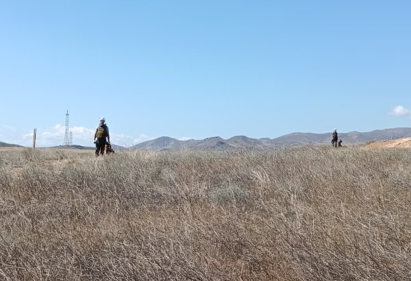 Azerbaijan's ANAMA shares weekly update on mine clearance in nation's liberated areas