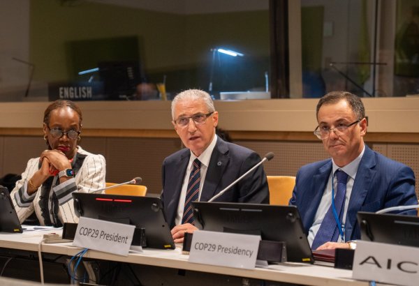 Azerbaijan joins hands with African nations in climate diplomacy drive (PHOTO)