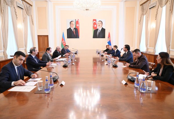 Azerbaijani PM meets with Speaker of Serbian Parliament (PHOTO)