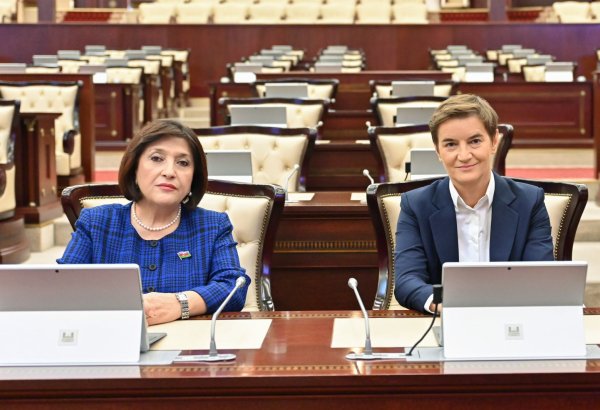 Azerbaijani Parliament speaker meets with Serbian National Assembly's chair (PHOTO)