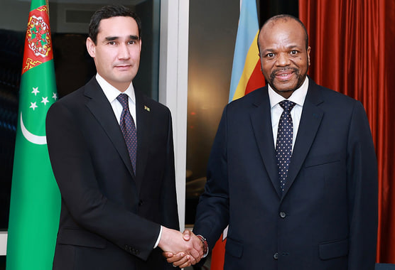 Turkmenistan and Eswatini explore new horizons for bilateral cooperation