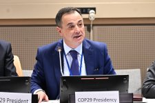 Azerbaijan joins hands with African nations in climate diplomacy drive (PHOTO)