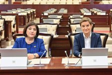 Azerbaijani Parliament speaker meets with Serbian National Assembly's chair (PHOTO)