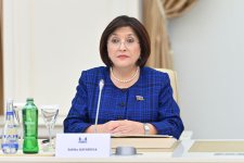 Azerbaijani Parliament speaker meets with Serbian National Assembly's chair (PHOTO)