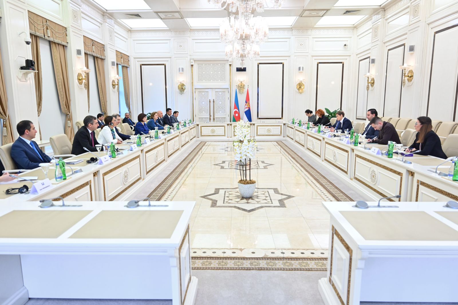 Azerbaijani Parliament speaker meets with Serbian National Assembly's chair (PHOTO)