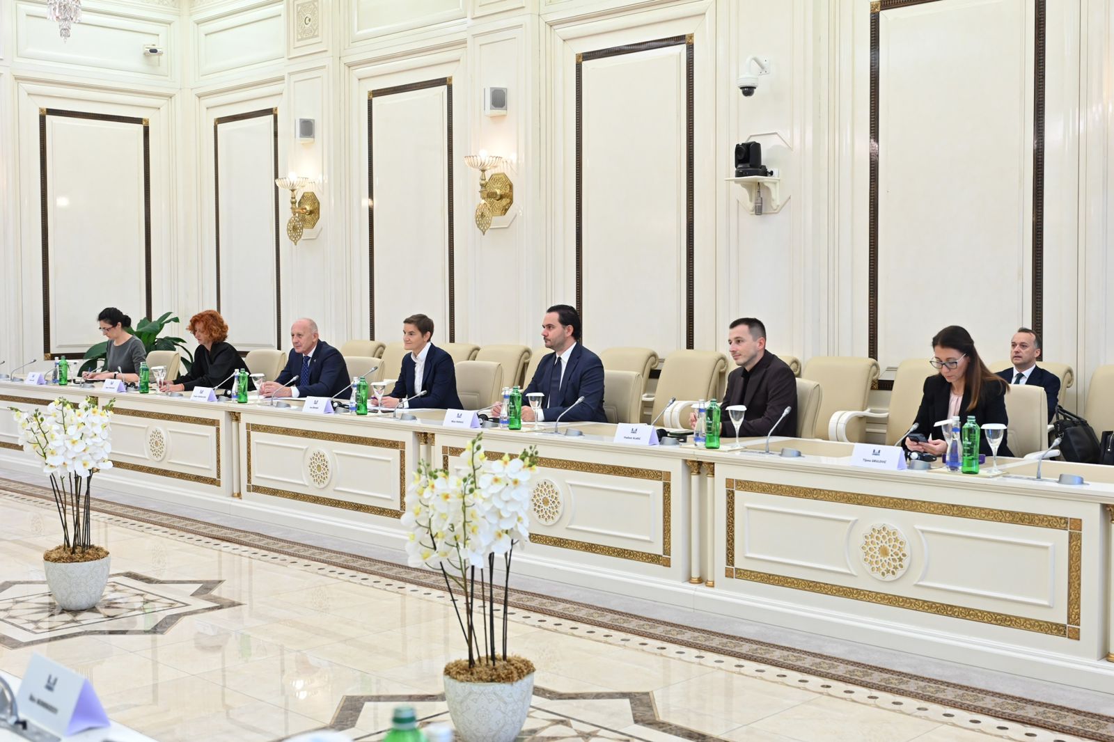 Azerbaijani Parliament speaker meets with Serbian National Assembly's chair (PHOTO)