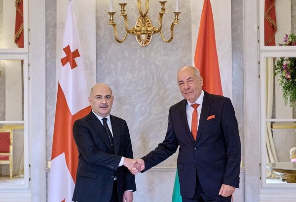 Georgian ambassador presents credentials to Hungarian president