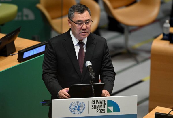 Kyrgyzstan called for joint efforts to preserve mountain ecosystems