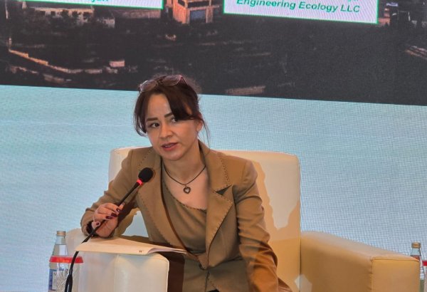 Azerbaijan puts EV growth into high gear thanks to government push