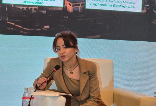 Azerbaijan has right mix to shine as green energy hub, IFC expert says