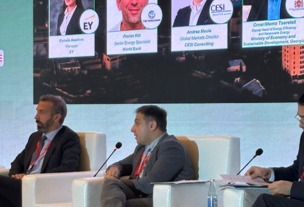 Georgian expert urges for unified energy action across South Caucasus, Central Asia