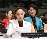 First Lady Mehriban Aliyeva participates in special session as part of UN General Assembly (PHOTO)