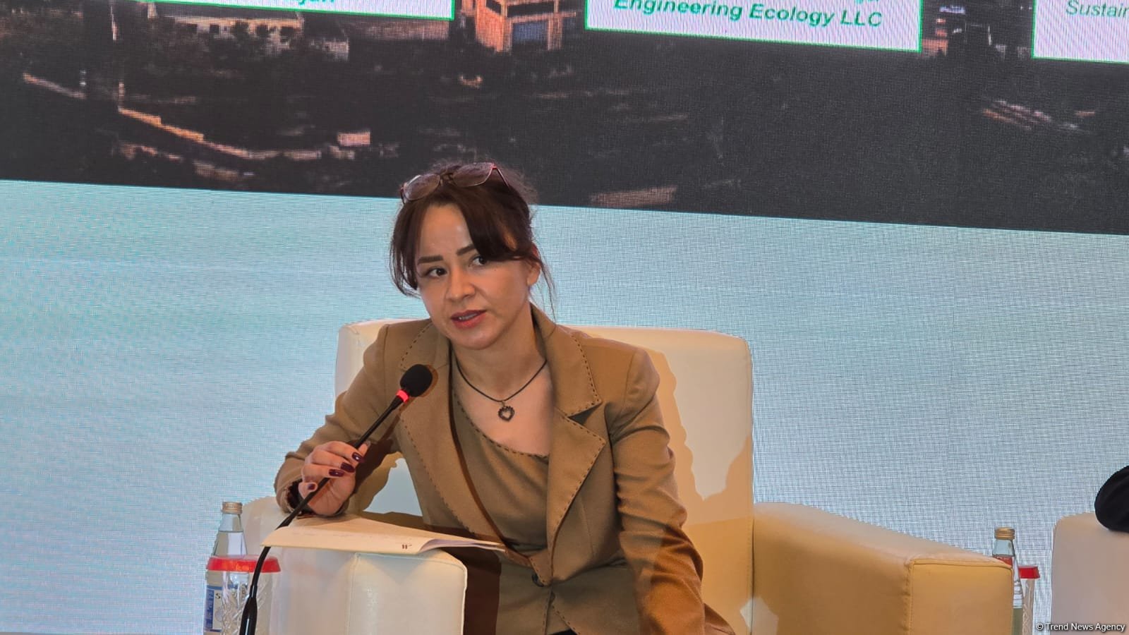 Azerbaijan puts EV growth into high gear thanks to government push