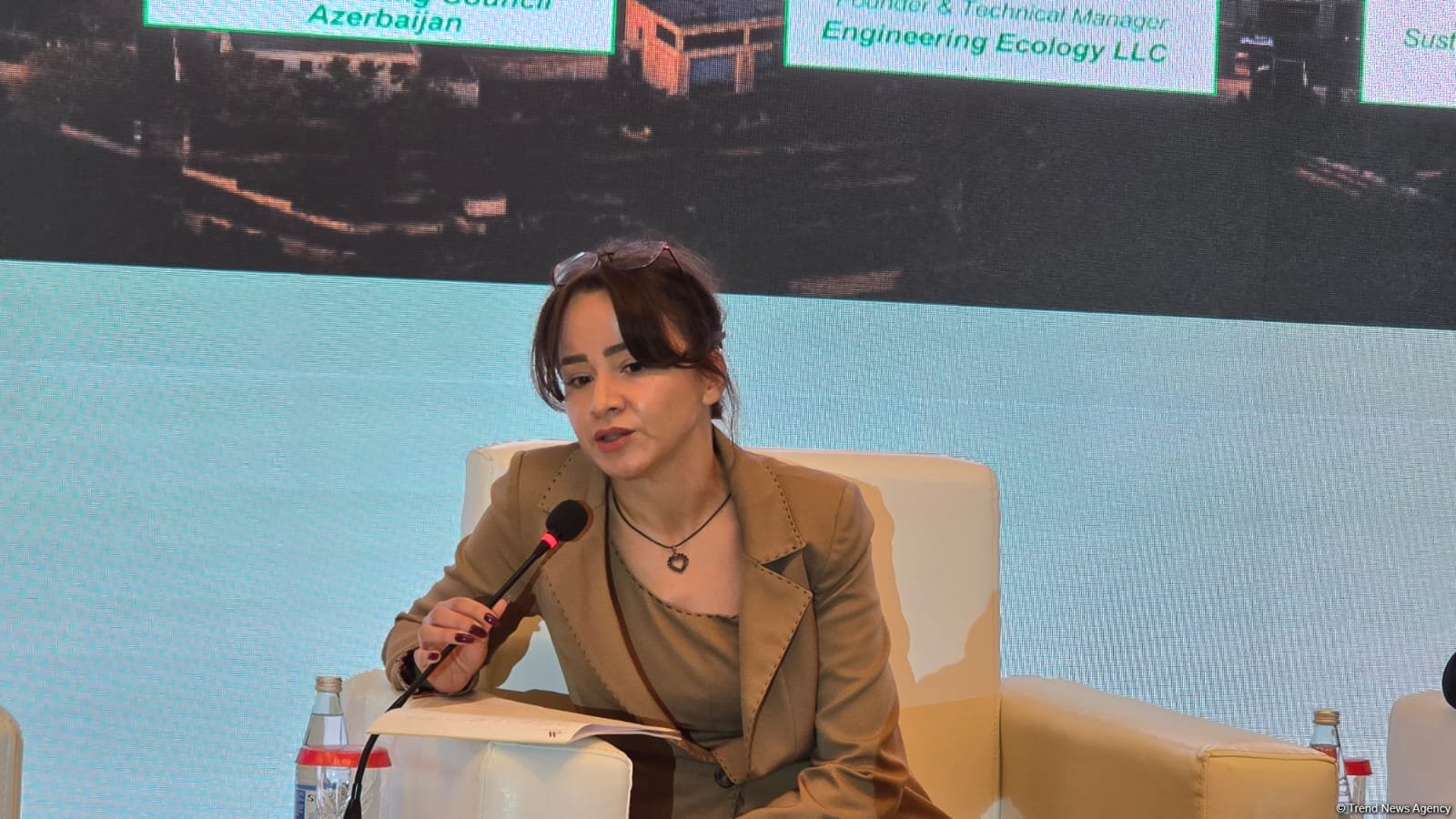 Azerbaijan has right mix to shine as green energy hub, IFC expert says