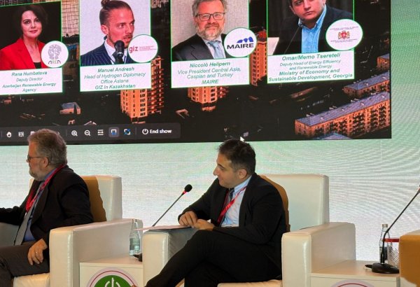 Georgia developing strategy and roadmap for green hydrogen