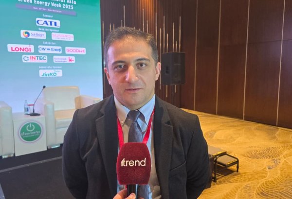 Georgia, Azerbaijan wire up joint ideas to strengthen grid network (Exclusive)