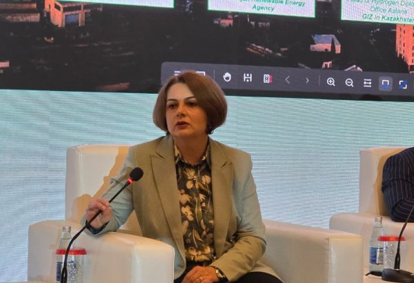 Azerbaijan breaks down price of going green with hydrogen