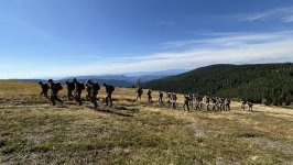 Slovenia tests endurance with 51-km “Cobra on the March 2025” hike (PHOTO)