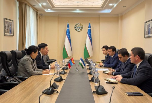 Uzbekistan and Mongolian company explore new horizons in industry, energy, and finance