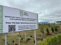 Azerbaijan's Aghdam commemorates Remembrance Day (PHOTO)