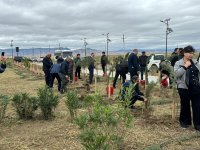 Azerbaijan's Aghdam commemorates Remembrance Day (PHOTO)