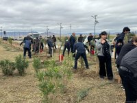 Azerbaijan's Aghdam commemorates Remembrance Day (PHOTO)