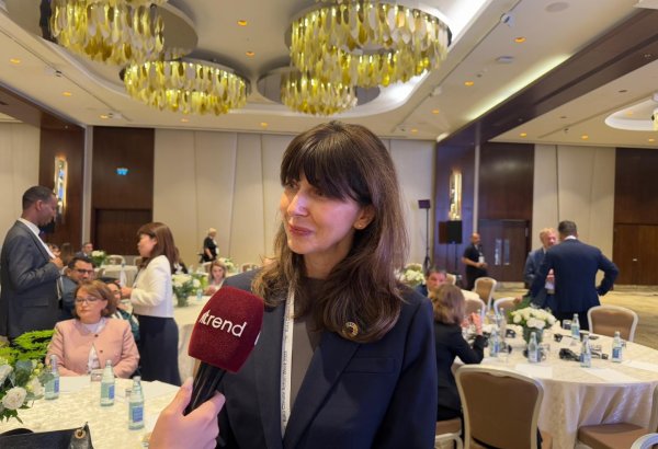 UN Coordinator calls for transport and energy to lead climate action