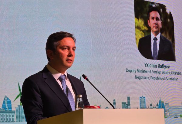 Azerbaijani Deputy FM hails Baku COP as model for global climate conferences