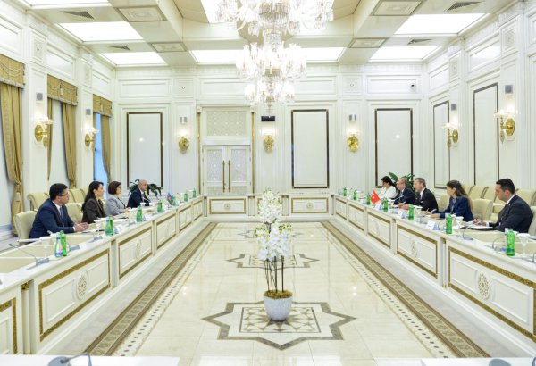 Azerbaijani Parliament Speaker holds talks with Turkish Human Rights Chair (PHOTO)