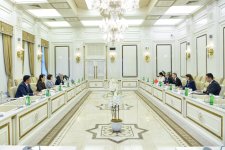 Azerbaijani Parliament Speaker holds talks with Turkish Human Rights Chair (PHOTO)