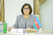 Azerbaijani Parliament Speaker holds talks with Turkish Human Rights Chair (PHOTO)