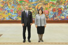 Azerbaijani Parliament Speaker holds talks with Turkish Human Rights Chair (PHOTO)