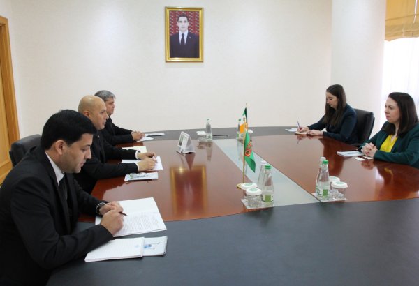 Turkmenistan, Ireland reinforce diplomatic, cultural, and economic connections
