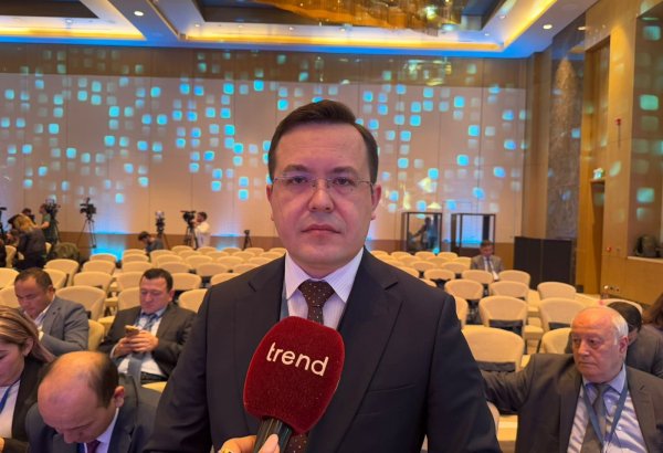 Uzbekistan and Azerbaijan opening new business, investment opportunities - MFA (Exclusive)