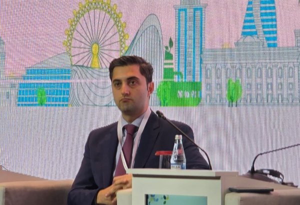 SOCAR Green eyes global financial backing as key fuel for energy transition - CEO