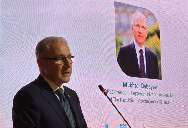 COP29 President calls for climate action with human dev't in driver’s seat