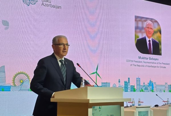 Azerbaijan talks climate change affect on countries facing conflicts, forced displacementlk