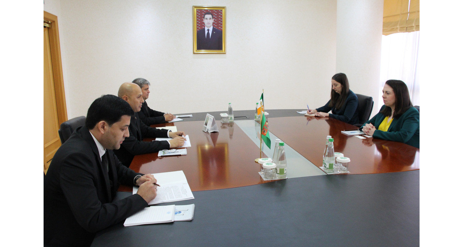 Turkmenistan, Ireland reinforce diplomatic, cultural, and economic connections