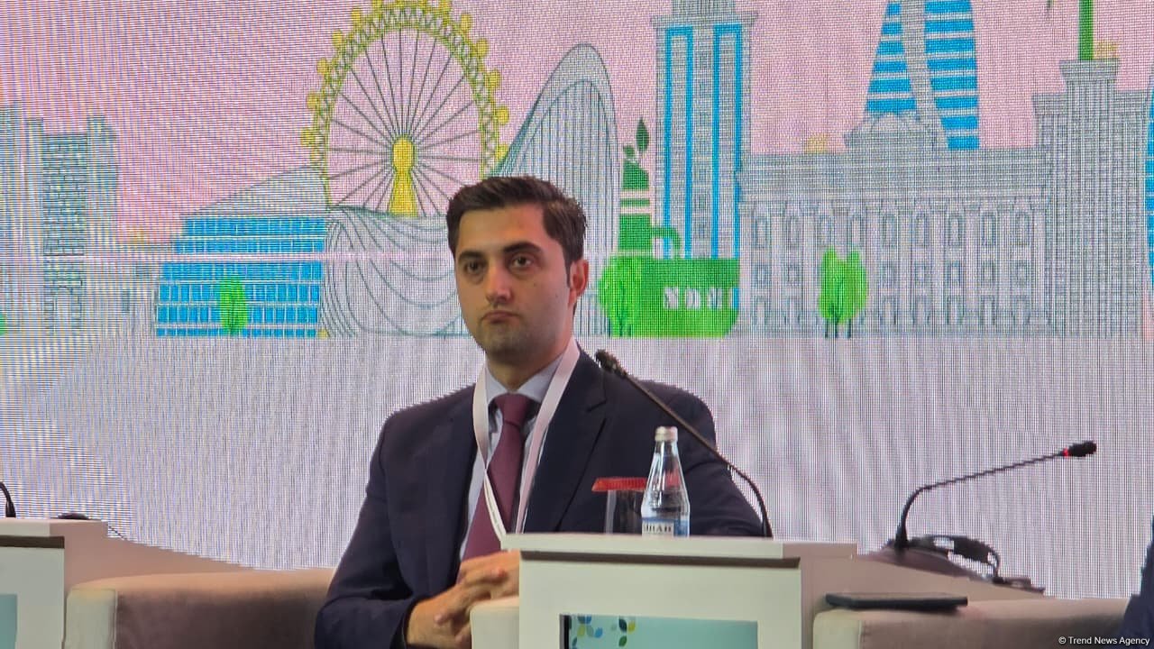 SOCAR Green eyes global financial backing as key fuel for energy transition - CEO