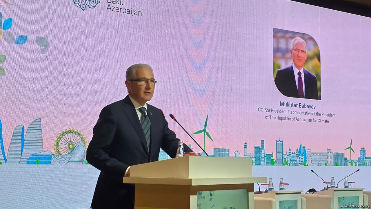 By working together, we can deliver clean energy to Europe, COP29 president says
