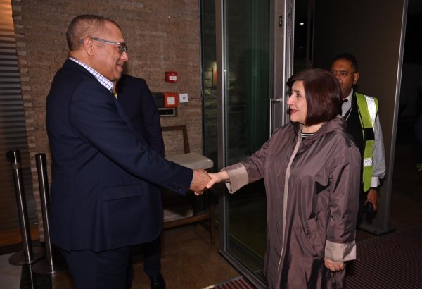 Azerbaijani parliament speaker pays working visit to South African Republic (PHOTO)
