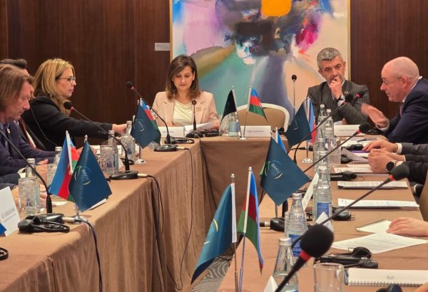 Baku Climate Action Week hosts roundtable on sustainable built environment plan (PHOTO)